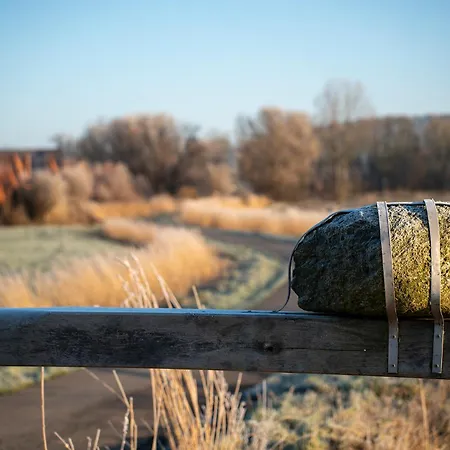 Lale Andersen 25 בית נופש