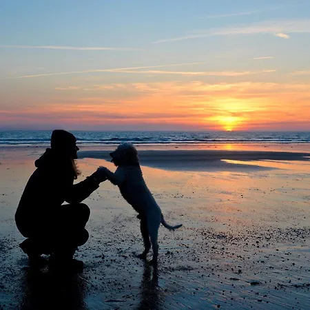 Lale Andersen 25 וורמן